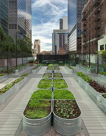 Outdoor Gardening Area