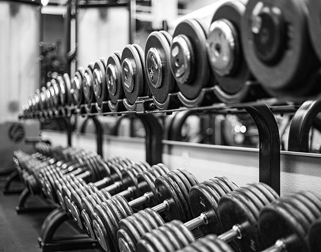 View of Gym Equipment